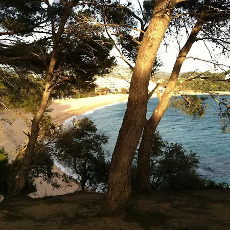 ヴィラ Zen Costa Brava リョレート・デ・マル